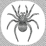 Coloring page of  Balck Spider, zentangle illustartion