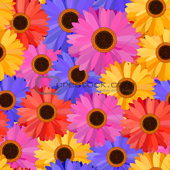 Gerbera Seamless Pattern Floral Background