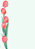 Template greeting card with red tulips