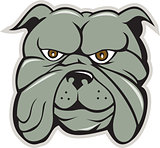 Bulldog Head Isolated Cartoon