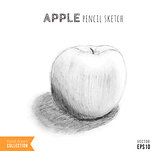 Apple hand drawn sketch