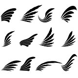 Set of Wings Icons Isolated on White Background