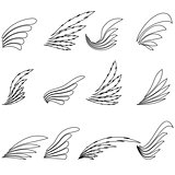 Set of Wings Icons