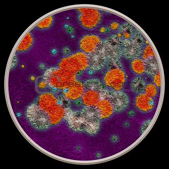 Bacteria under microscope - 3d illustration