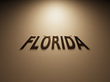 3D Rendering of a Shadow Text that reads Florida