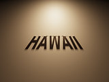 3D Rendering of a Shadow Text that reads Hawaii