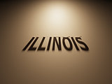 3D Rendering of a Shadow Text that reads Illinois