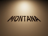 3D Rendering of a Shadow Text that reads Montana