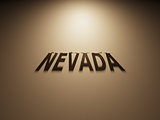 3D Rendering of a Shadow Text that reads Nevada