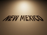 3D Rendering of a Shadow Text that reads New Mexico