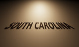 3D Rendering of a Shadow Text that reads South Carolina