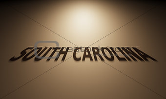 3D Rendering of a Shadow Text that reads South Carolina