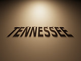 3D Rendering of a Shadow Text that reads Tennessee