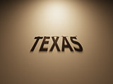 3D Rendering of a Shadow Text that reads Texas
