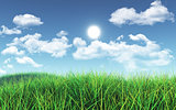 3D Green grass against blue sky