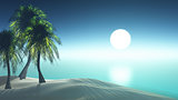 3D render palm tree island