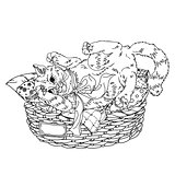 Sketch illustration of playful cats. Sleeping, sitting, looking back, playing