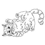 Sketch illustration of playful cats. Sleeping, sitting, looking back, playing
