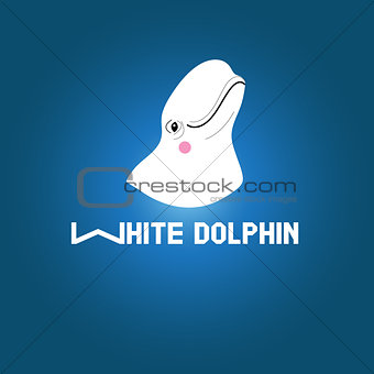Head white dolphin