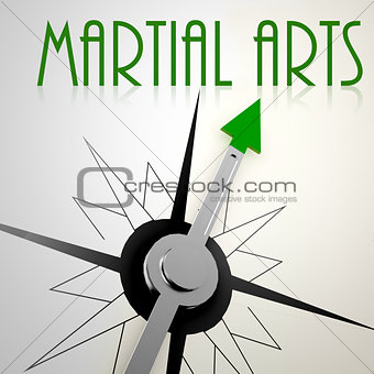 Martial Arts on green compass