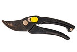 An old garden scissors 