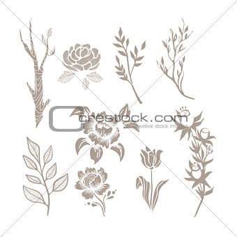 Hand Drawn Plant Monochrome Set