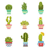 Cactus In Pot Collection