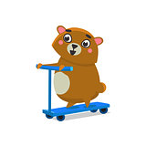 Brown Bear On Scooter