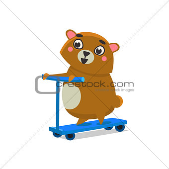 Brown Bear On Scooter