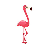 Pink Flamingo Funny Illustration