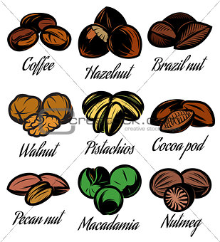 set of colored symbols patterns different seeds, nuts, fruits