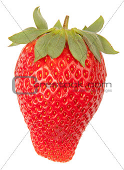 Strawberry Isolated on White Background
