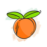Peach watercolor effect vector illustration
