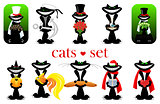 set of cats. vector. isolated