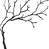 Black silhouette of a bare tree