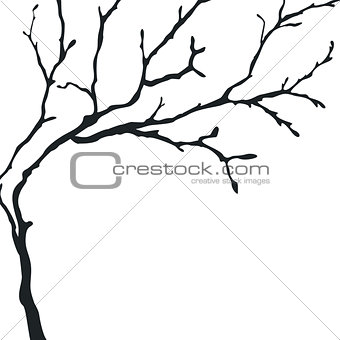Black silhouette of a bare tree