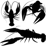 crawfish, crayfish silhouettes isolated on white