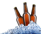 Beer in ice
