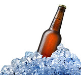 Bottle of beer in ice