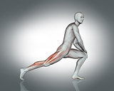 3D male figure in stretching pose 