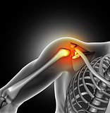 3D medical image of shoulder bone