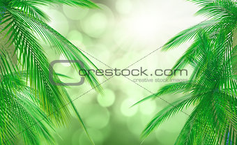 3D palm tree leaves against a defocussed background