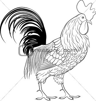 cartoon rooster, cute farm animal, vector monochrome bird, poultry icon