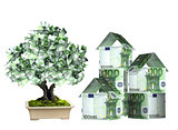 Three houses from euro banknotes and money tree