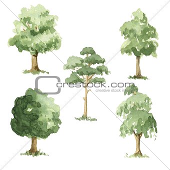 Types of trees.