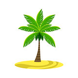 Single Palm Tree On The Beach