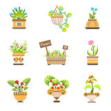 Flowers In Pots Collection