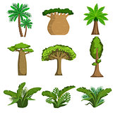 Jungle Trees And Plants Set
