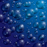 Transparent Soap Bubbles on Blue Background.