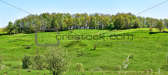 Panorama hills. The European part of Russia. Smooth slope. Forest belt. A Sunny spring day.